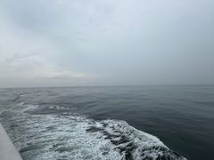 -枸杞岛