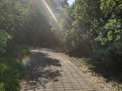 -南沙蒲洲花园
