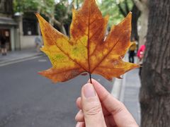 -安福路