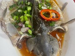 -先鲜鲫鱼粥