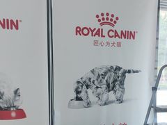 -丹景宠物医院·全科·老年病·牙科(武昌诊疗中心)
