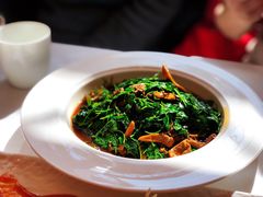 蚌肉金花菜-洋洋中餐馆·SINCE 1997(信投店)