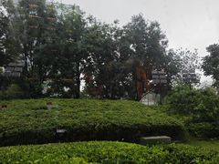 -北京康莱德酒店-Chapter餐厅