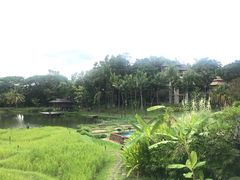 -四季酒店下午茶