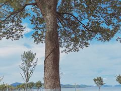 -东钱湖旅游度假区