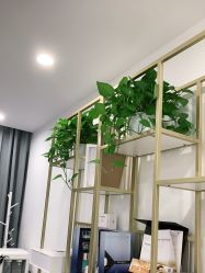 -SKIN79皮肤管理中心