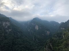 -牛背梁国家森林公园