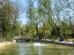 -西安市长乐公园