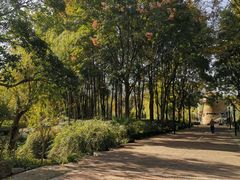 -苏州河梦清园环保主题公园