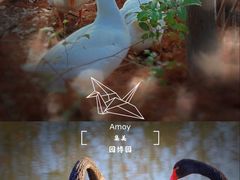 -厦门园林博览苑