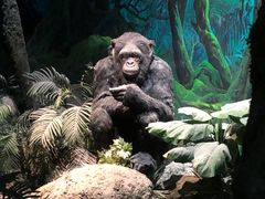 -国家自然博物馆