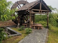 -同里国家湿地公园