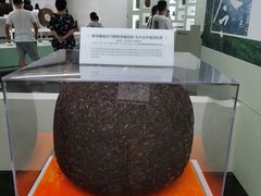 -中国茶叶博物馆(双峰馆区)