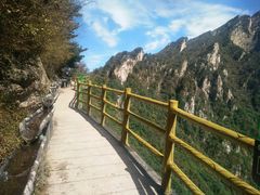 -老界岭旅游度假区