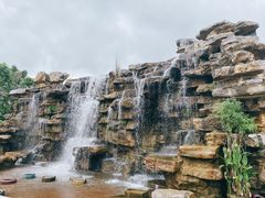 -枫香湖儿童公园