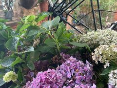 -园林美食城·本土农家菜(杨和镇店)