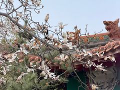 -碑林公园