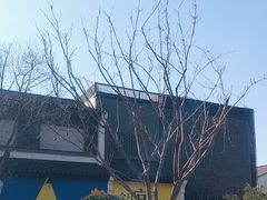 -雅达·阳羡溪山小镇中心