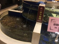 -海景壹号大酒店(滨湖店)