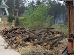 -绵阳盛世樱花悠乐谷