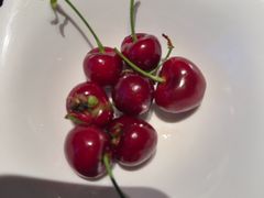 -雍容荟帝王蟹活龙虾展台自助(IFS黑金店)