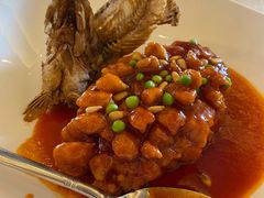 -上海和平饭店龙凤厅 Dragon Phoenix