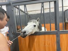 -骑乐马术(广州奥体优托邦中心)