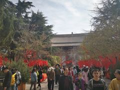-西安青龙寺遗址景区