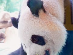 -杭州野生动物世界