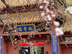 -桃花堤公园