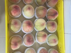 -老袁家蜜桃农场·阳山水蜜桃