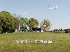 -莲花岛景区