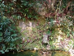 -十八棵（老龙井）御茶园(老龙井店)