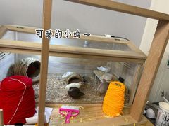 -A+毛毛毯·高温珐琅·银饰DIY(三里屯店)