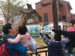 -灵玲国际马戏城