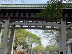 -王借岗森林公园