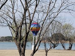 -长兴太湖图影湿地文化园