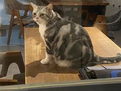 -咖法森林·咖啡  酒吧(天河店)