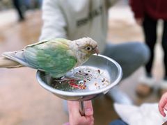 -杭州野生动物世界