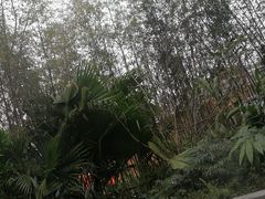 -海兰云天度假区温泉