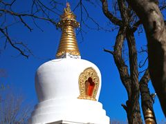 -护国法轮寺