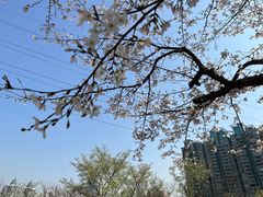 -西北湖绿化广场