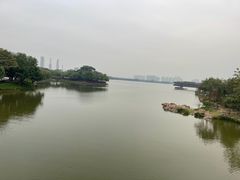 -顺峰山公园