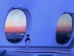 -米兰-马尔彭萨机场