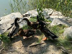 -三忘湖 SWANSEEN(柳荫公园店)