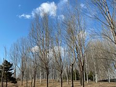 -东郊湿地公园