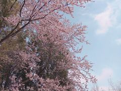 -兰山公园