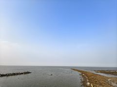 -黄海国家森林公园