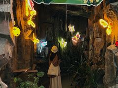 -正佳雨林生态植物园
