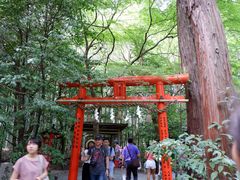 -野宫神社